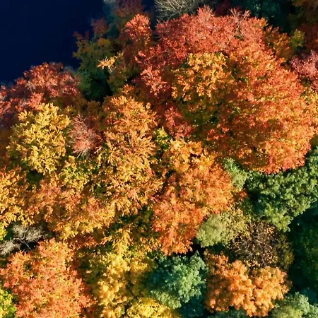 Parkresidenz Lychen, 1 לישן