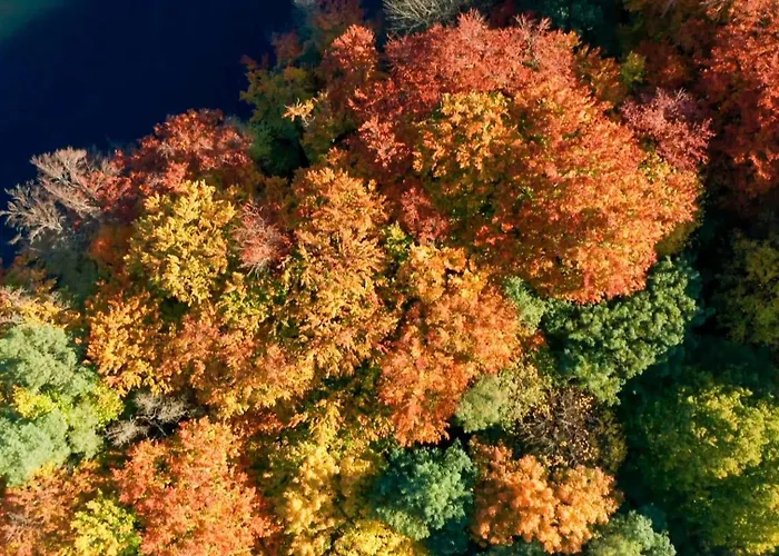 Parkresidenz Lychen, 1 Lychen